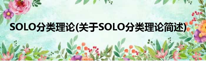 SOLO分类实际(对于SOLO分类实际简述)