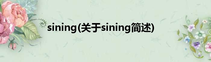 sining(对于sining简述)