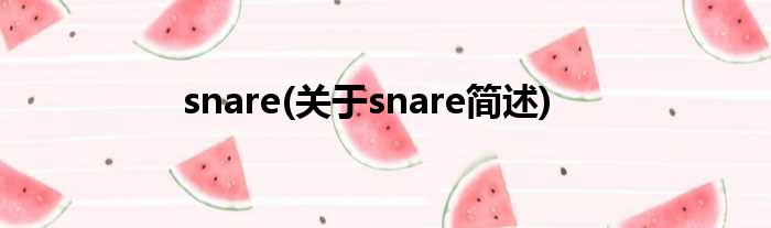 snare(对于snare简述)