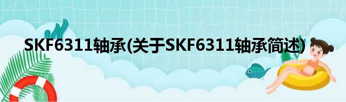 SKF6311轴承(对于SKF6311轴承简述)