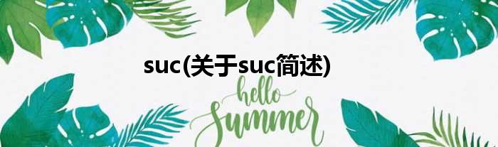 suc(对于suc简述)