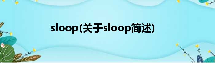 sloop(对于sloop简述)