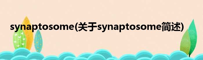 synaptosome(对于synaptosome简述)
