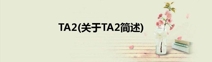 TA2(对于TA2简述)