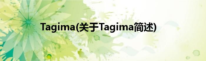 Tagima(对于Tagima简述)