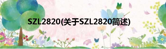 SZL2820(对于SZL2820简述)