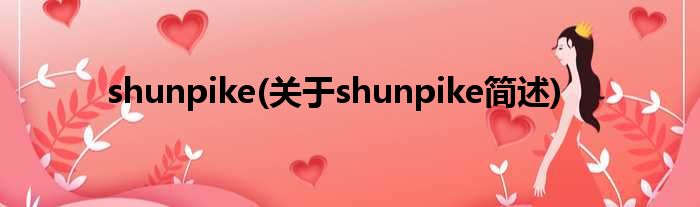 shunpike(对于shunpike简述)