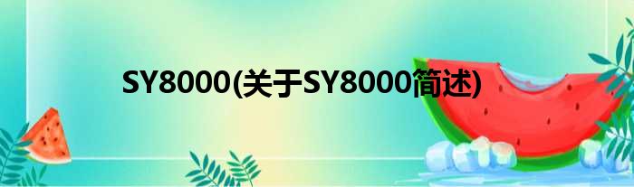 SY8000(对于SY8000简述)