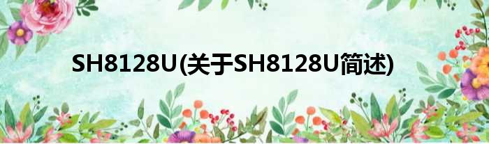 SH8128U(对于SH8128U简述)