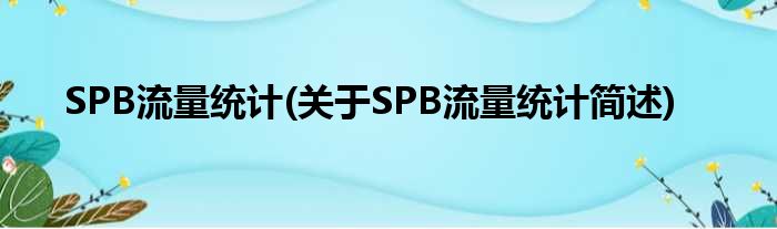 SPB流量统计(对于SPB流量统计简述)