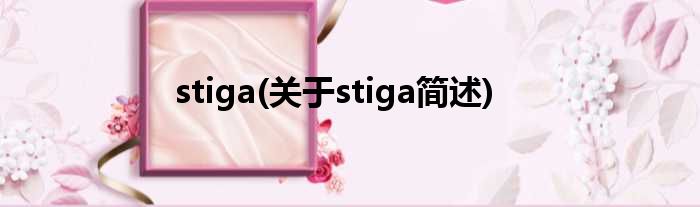 stiga(对于stiga简述)