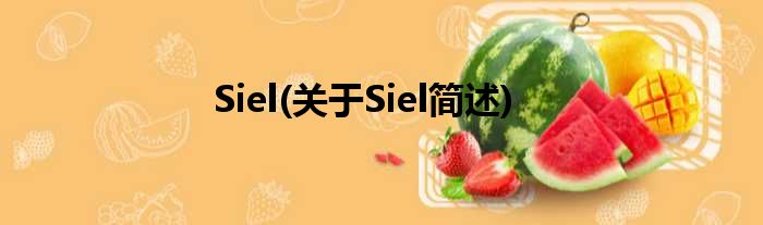 Siel(对于Siel简述)