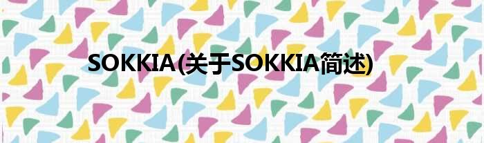 SOKKIA(对于SOKKIA简述)