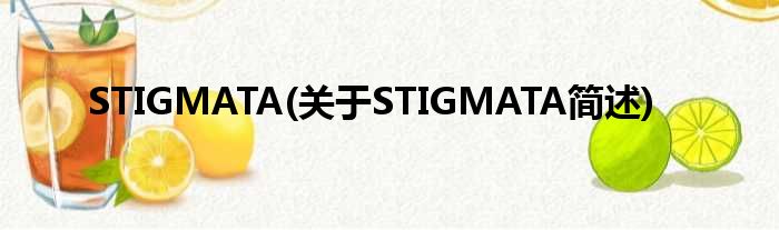 STIGMATA(对于STIGMATA简述)