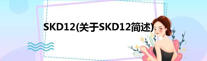 SKD12(对于SKD12简述)