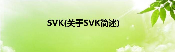 SVK(对于SVK简述)