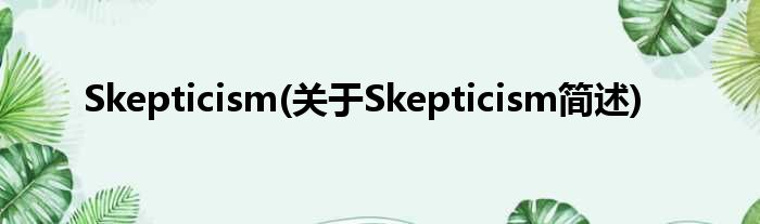 Skepticism(对于Skepticism简述)