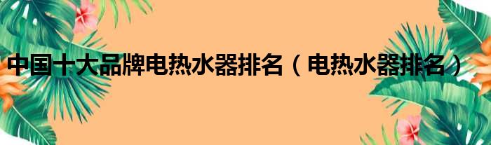 中国十大品牌电热水器排名（电热水器排名）