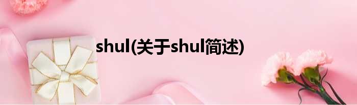shul(对于shul简述)