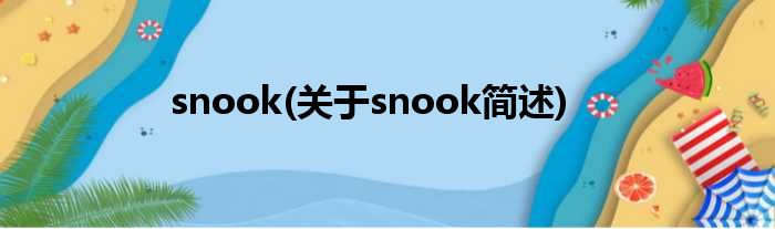 snook(对于snook简述)