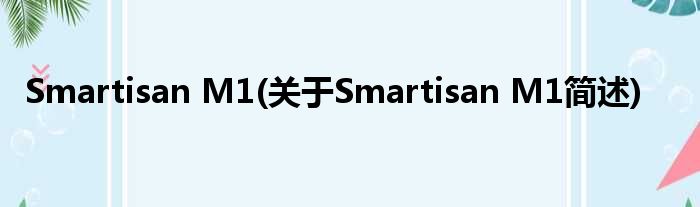 Smartisan M1(对于Smartisan M1简述)