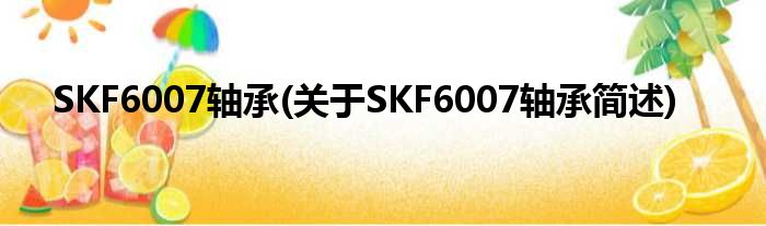 SKF6007轴承(对于SKF6007轴承简述)