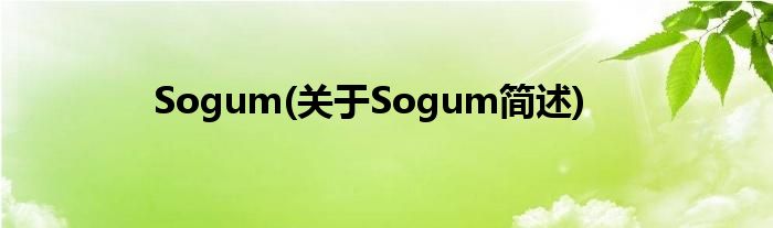 Sogum(对于Sogum简述)