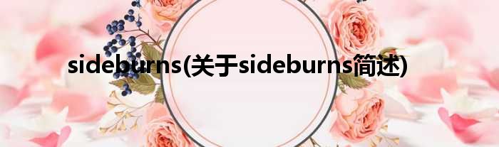 sideburns(对于sideburns简述)