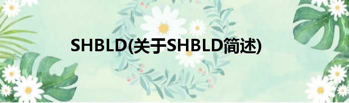 SHBLD(对于SHBLD简述)