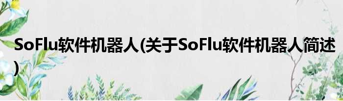 SoFlu软件机械人(对于SoFlu软件机械人简述)