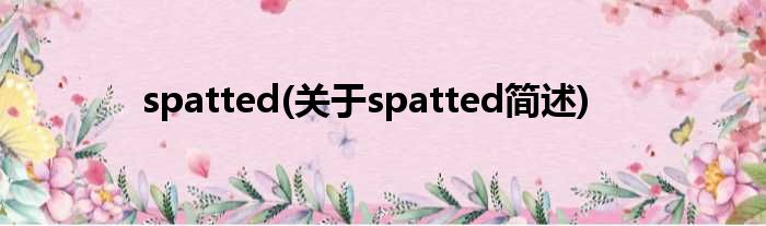 spatted(对于spatted简述)
