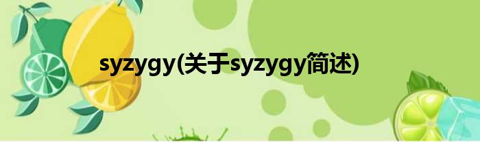 syzygy(对于syzygy简述)