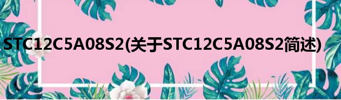 STC12C5A08S2(对于STC12C5A08S2简述)