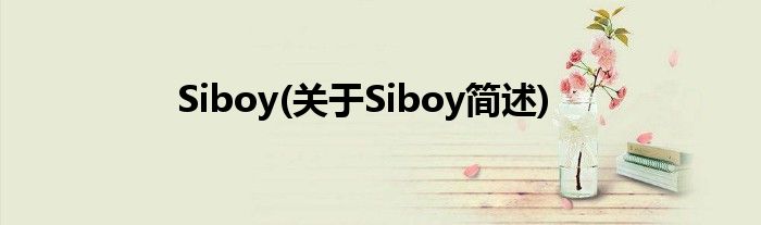 Siboy(对于Siboy简述)