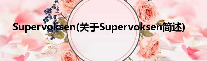 Supervoksen(对于Supervoksen简述)