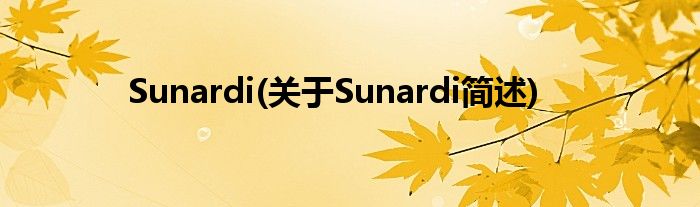 Sunardi(对于Sunardi简述)