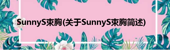 SunnyS束胸(对于SunnyS束胸简述)
