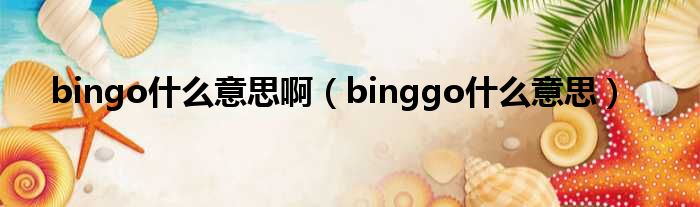 bingo甚么意思啊（binggo甚么意思）