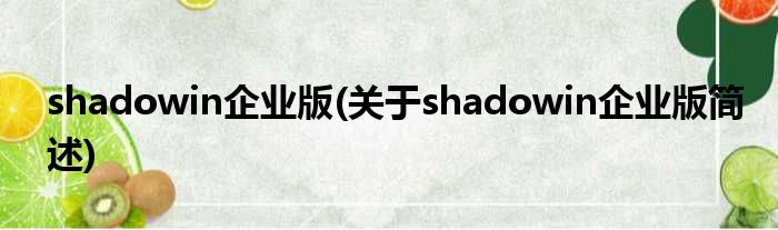 shadowin企业版(对于shadowin企业版简述)
