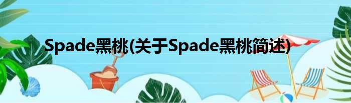 Spade黑桃(对于Spade黑桃简述)