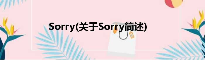 Sorry(对于Sorry简述)