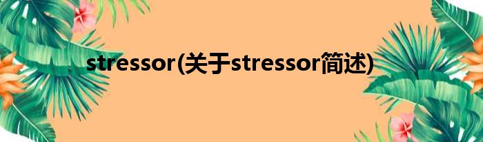 stressor(对于stressor简述)