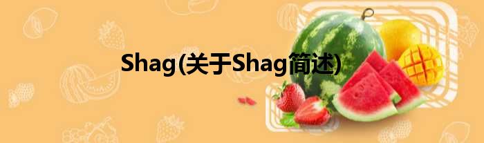 Shag(对于Shag简述)