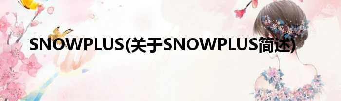 SNOWPLUS(对于SNOWPLUS简述)