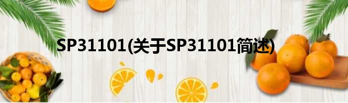 SP31101(对于SP31101简述)