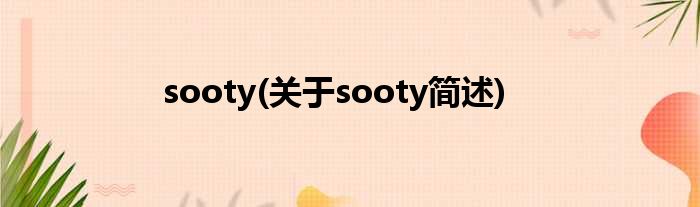 sooty(对于sooty简述)