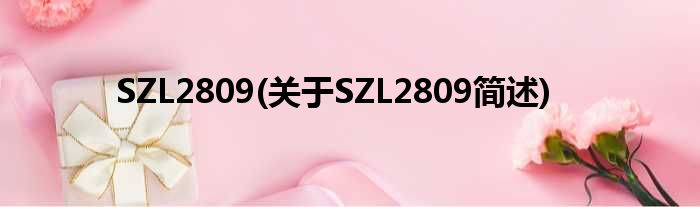 SZL2809(对于SZL2809简述)