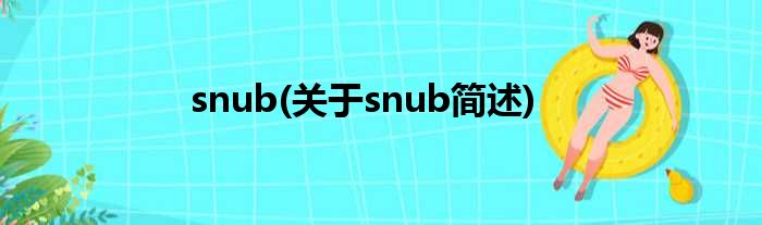 snub(对于snub简述)