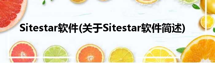 Sitestar软件(对于Sitestar软件简述)