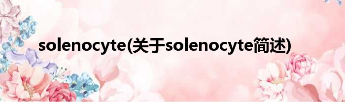 solenocyte(对于solenocyte简述)